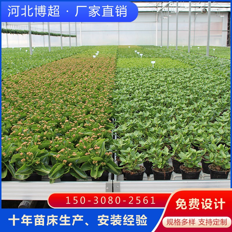 上海温室育苗床